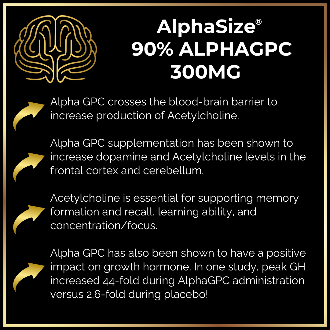 A graphic titled "Keto Brainz Nootropic Creamer" from Keto Brainz Nootropics features a brain icon and emphasizes the benefits of cognitive enhancement similar to those offered by Lion's Mane Mushroom. It promotes growth hormone production and memory support, all presented in a sleek black and gold design with guided arrows leading to various text sections.