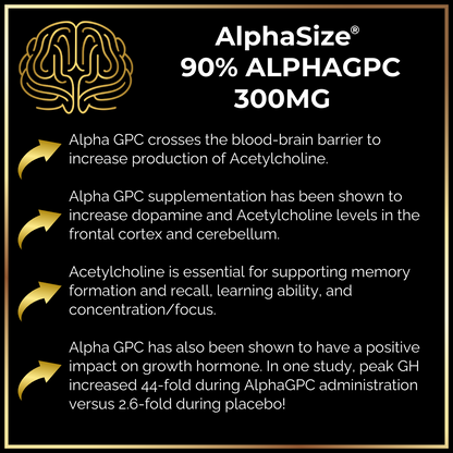 A graphic titled "Keto Brainz Nootropic Creamer" from Keto Brainz Nootropics features a brain icon and emphasizes the benefits of cognitive enhancement similar to those offered by Lion's Mane Mushroom. It promotes growth hormone production and memory support, all presented in a sleek black and gold design with guided arrows leading to various text sections.