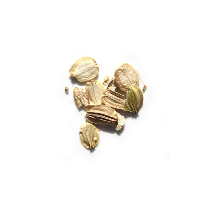 A close-up image of Supreme Space® Botanical Protective Spray by Daughter Alchemy on a white background. The spray bottle is light brown with slight greenish hues and features a sleek, textured surface, embodying the grounding essence akin to the root chakra.