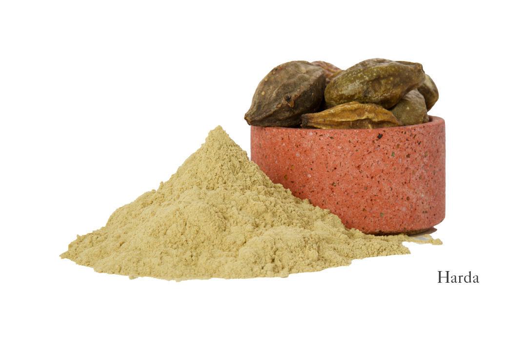 A red bowl of dry harda fruit rests beside a heap of light brown powdered harda on a white surface, both ethically sourced by Bennd Yoga. The label "Dark Harda and Sappan Wood Ayurvedic Yoga Mat" is noticeable in the bottom right corner.