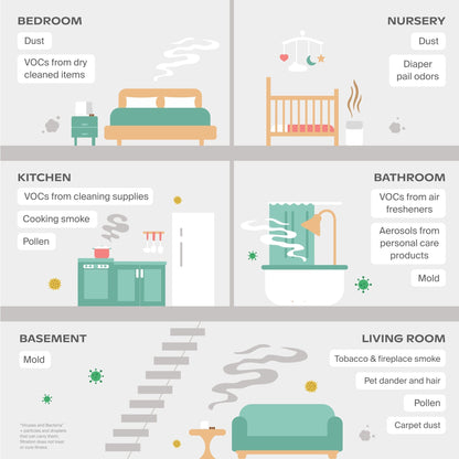 Infographic by Canopy highlights the Nursery Air Purifier, showing six rooms—bedroom, nursery, kitchen, bathroom, basement, and living room—with icons listing common indoor air pollutants like dust, mold, VOCs, pollen, and smoke.