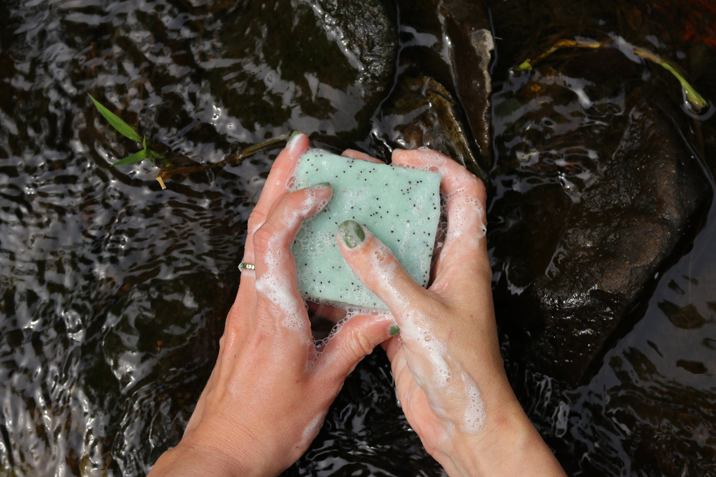 Two hands with green nails hold a lathered bar of My Neighbor’s Tallow Blue Tansy & Raw Honey Tallow Soap above running water, with dark rocks below.