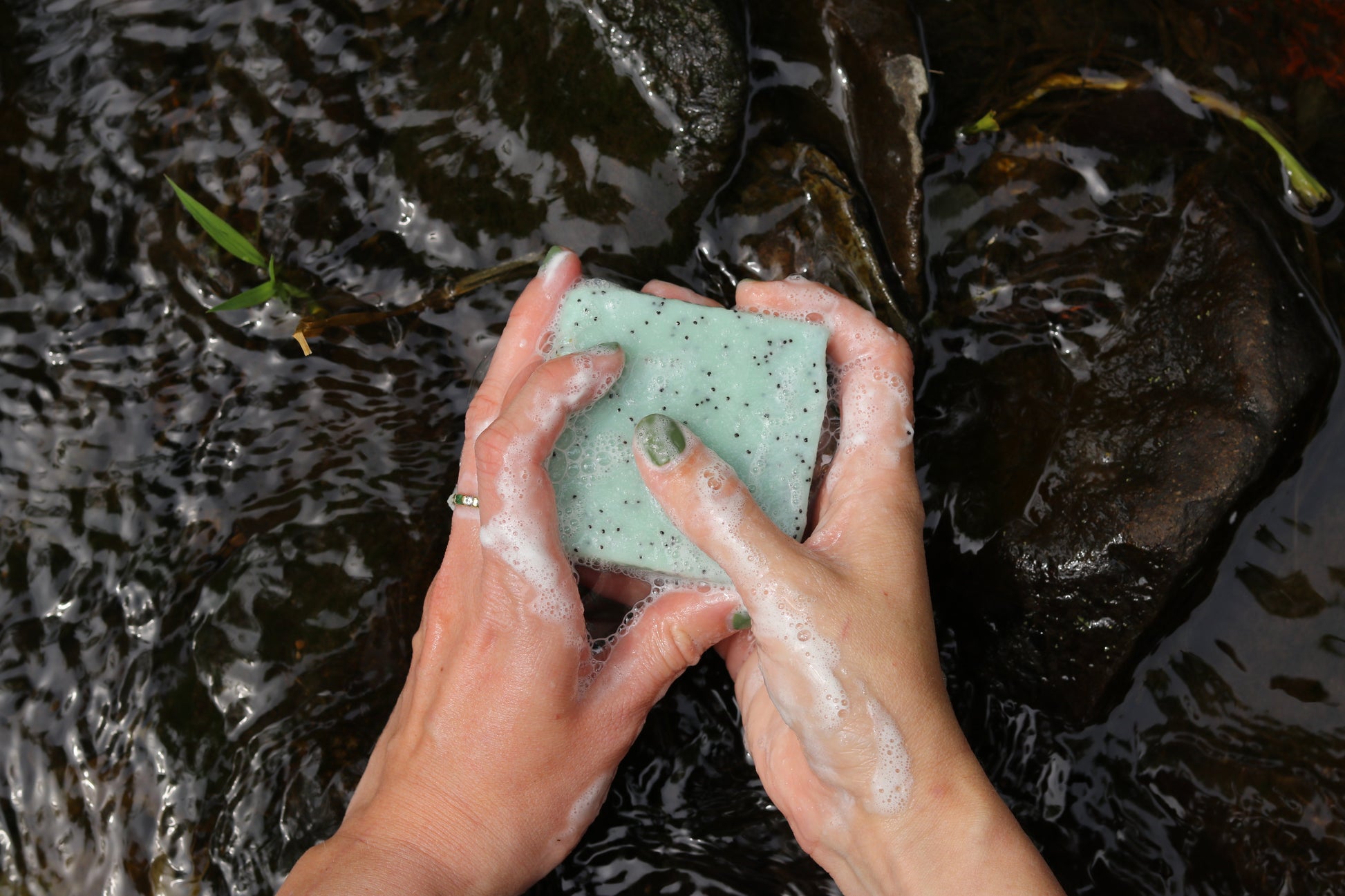 Two hands with green nails hold a lathered bar of My Neighbor’s Tallow Blue Tansy & Raw Honey Tallow Soap above running water, with dark rocks below.