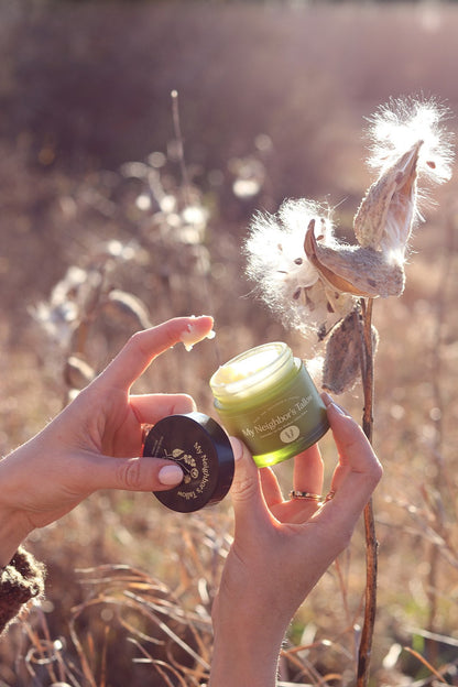 A person holds an open jar of My Neighbor’s Tallow Lavender on the Hudson - Tallow Balm with its lid, beside a sunlit milkweed plant in a field, as golden light highlights the grass-fed tallow balm.