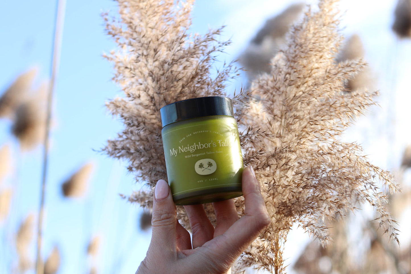 A hand holds up a green jar labeled "My Neighbor’s Tallow Wild Bergamot - Tallow Balm" with tall beige pampas grass and a clear blue sky in the background.