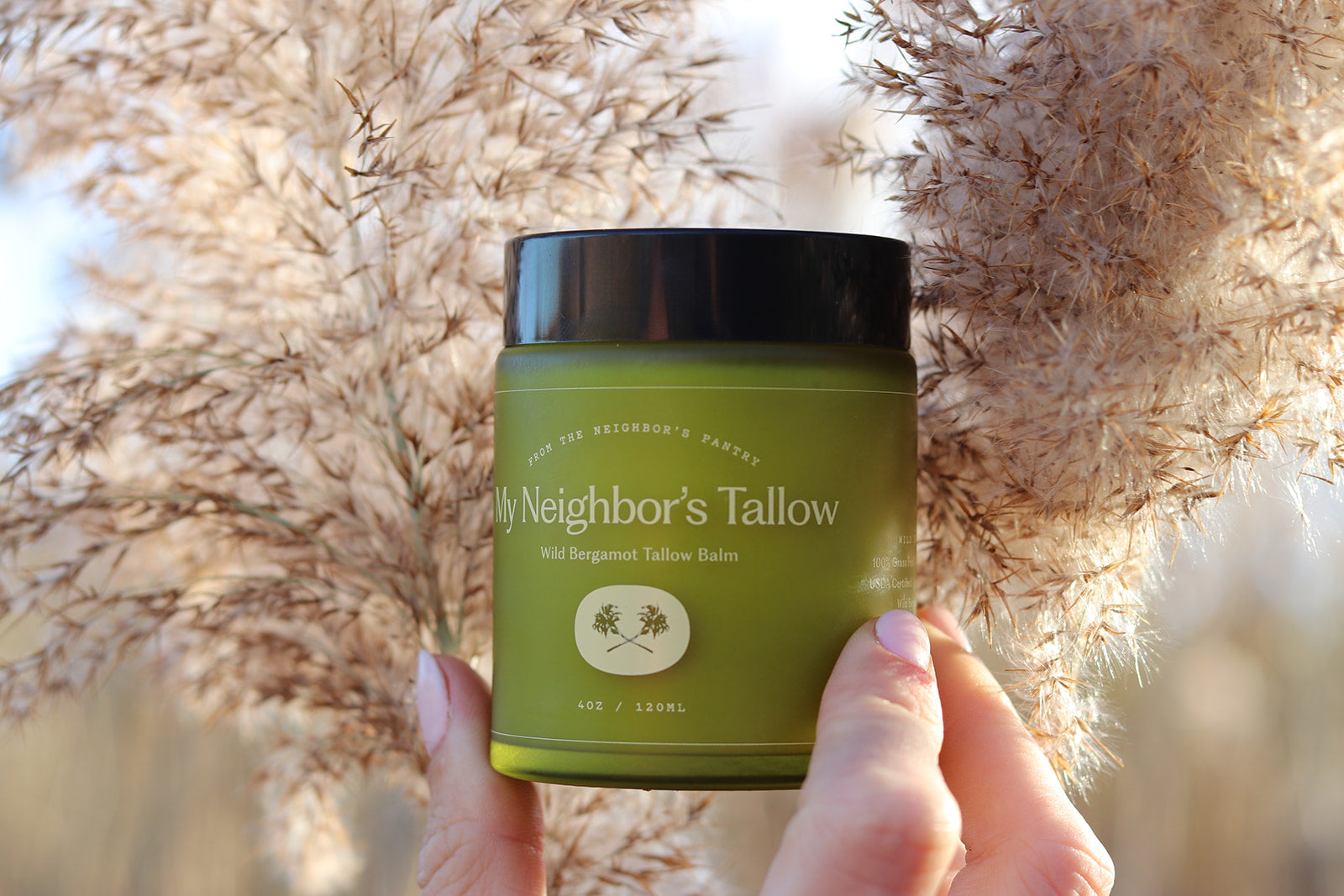 A hand holds a green jar of "Wild Bergamot - Tallow Balm" by My Neighbor’s Tallow, made with grass-fed tallow, amid tall beige grasses softly lit by natural sunlight.