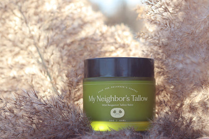 A green jar of My Neighbor’s Tallow Wild Bergamot - Tallow Balm, made with grass-fed tallow, rests among beige pampas grass in the sunlight, creating a warm and natural scene.