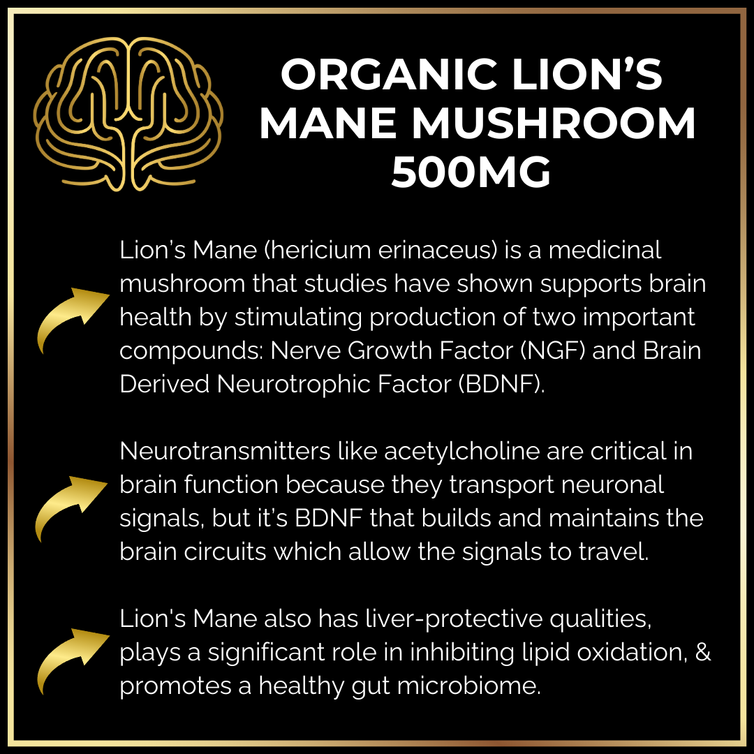 Infographic showcasing Keto Brainz Nootropic Creamer, emphasizing benefits such as brain health support, enhanced neurotransmitter activity, and liver protection. Features a brain icon and detailed text highlighting the cognitive-boosting qualities of products like Organic Lion's Mane Mushroom 500mg from Keto Brainz Nootropics.