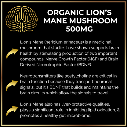 Infographic showcasing Keto Brainz Nootropic Creamer, emphasizing benefits such as brain health support, enhanced neurotransmitter activity, and liver protection. Features a brain icon and detailed text highlighting the cognitive-boosting qualities of products like Organic Lion's Mane Mushroom 500mg from Keto Brainz Nootropics.
