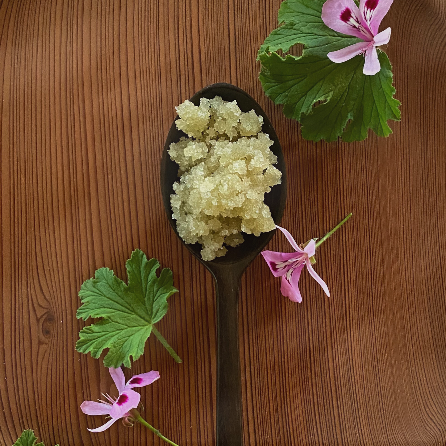 A wooden spoon filled with the Violet, Red Clover, Rose Geranium & Wild Orange Lymphatic Salt Scrub from Moon Canyon Healing sits on a wooden surface, surrounded by green leaves and pink flowers, artistically arranged to create a visually appealing composition. This simple scene highlights nature's beauty and hints at natural remedies for skin health and detoxification.