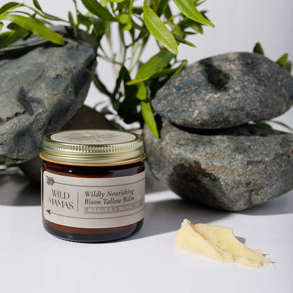 A jar of WildMamas Wildly Nourishing Bison Tallow Balm – Mānuka Honey + Royal Jelly sits on a white surface, with a dab in front. Rocks and green leaves provide a natural backdrop for this nutrient-rich skincare staple.