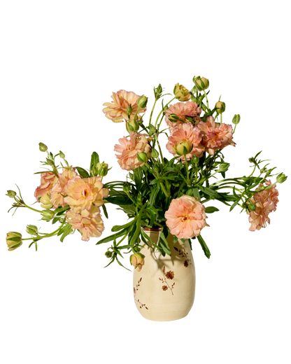 The Baile Homestead Vase by Baile, a cream-colored handmade ceramic piece with small floral details, holds light pink ranunculus and green foliage against a white background.