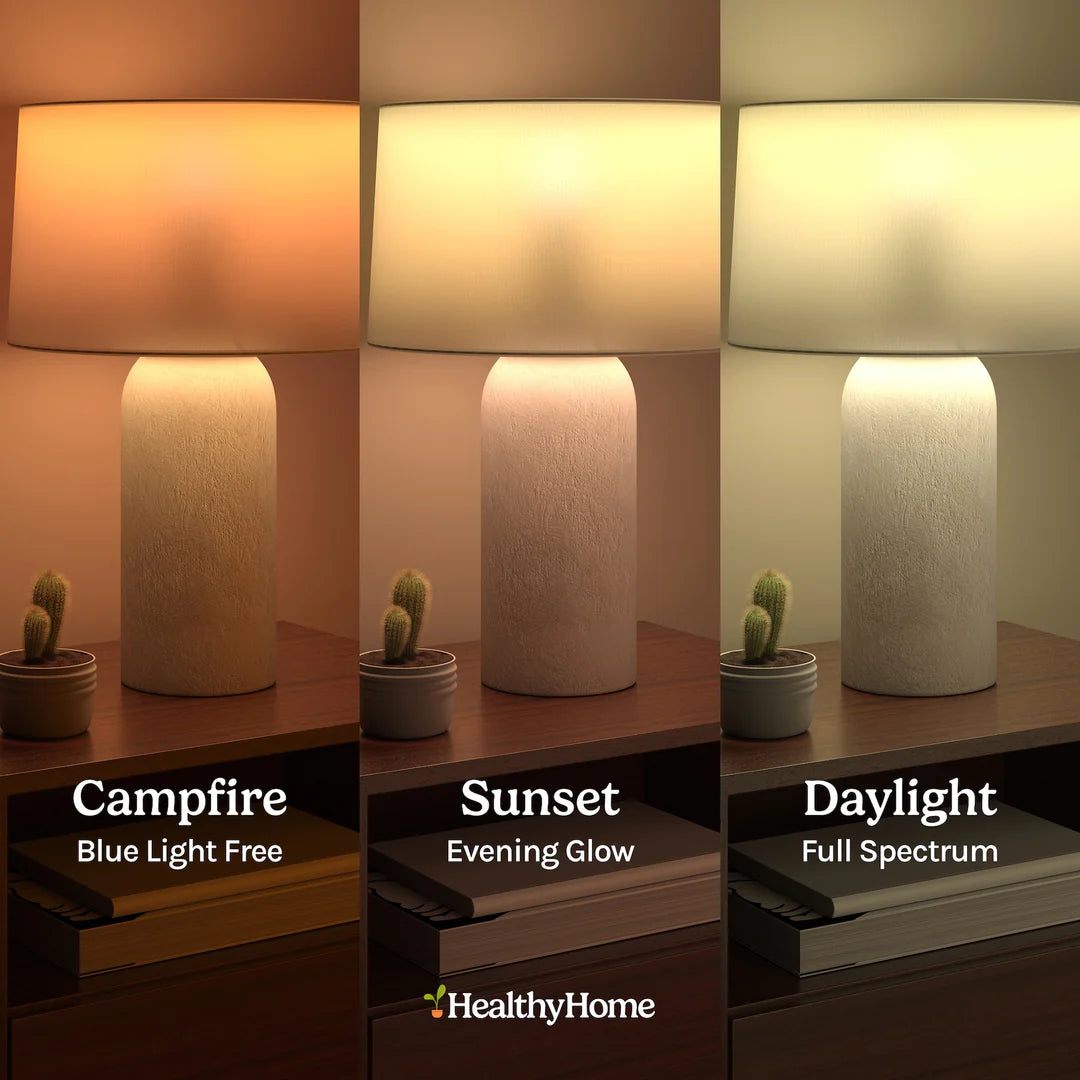 Three images display a Circadian Lightbulb on a wooden table with a cactus, featuring 3 color temperatures: "Campfire" (warm light), "Sunset" (neutral light), and "Daylight" (natural daylight). Text reads: The Healthy Home Shop.