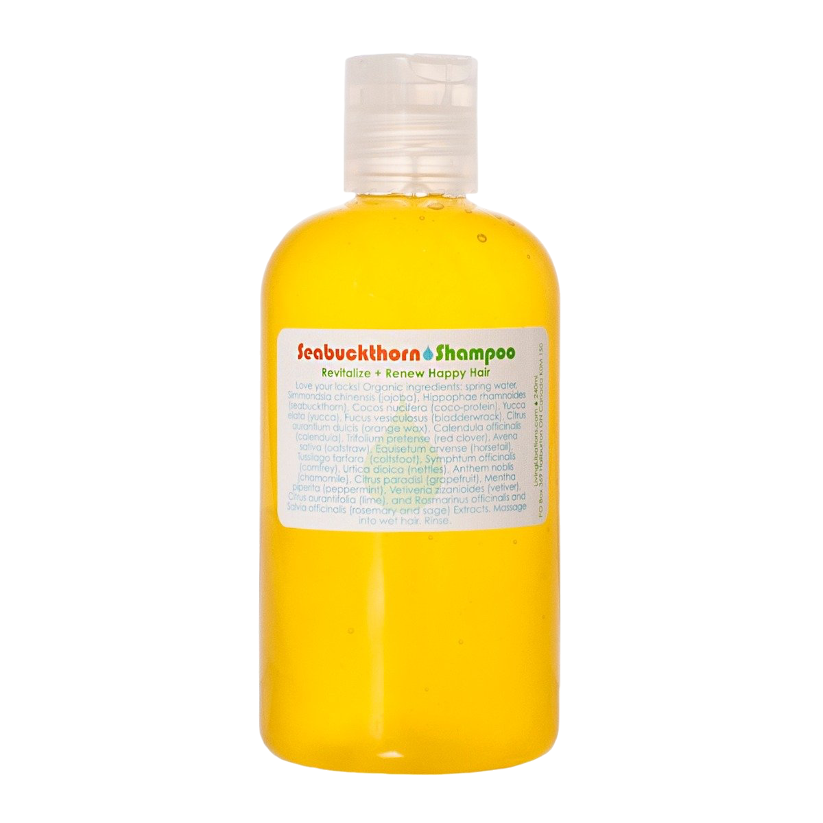 A clear plastic bottle filled with bright yellow liquid, labeled "Seabuckthorn Shampoo" from Living Libations, promises to "Revitalize + Renew Happy Hair." Infused with botanical delights and coco-protein, it features a list of various natural ingredients and is topped with a white flip-top cap.