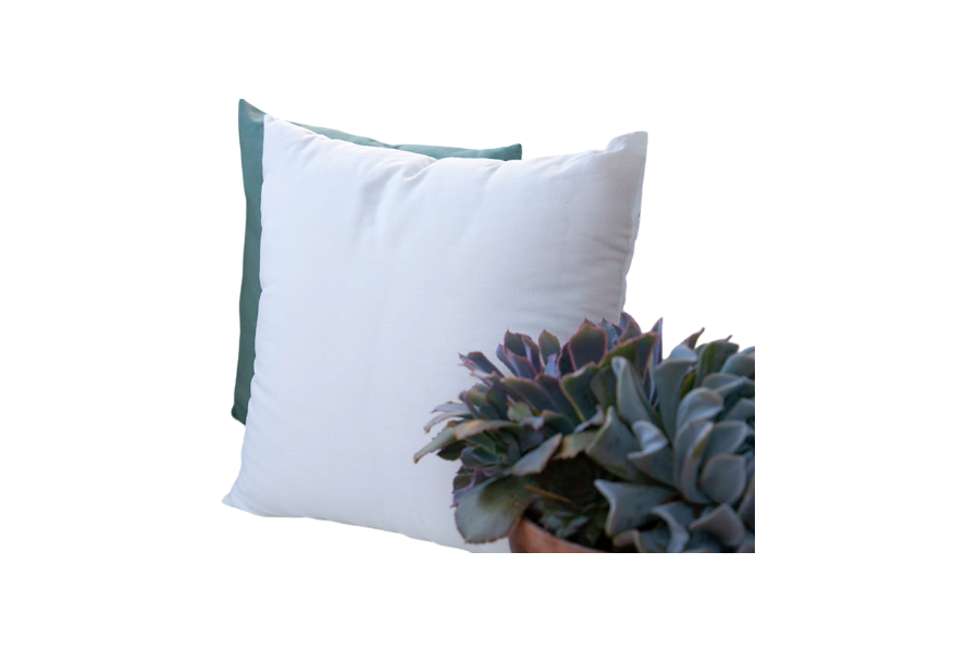 A Wool and Organic Cotton Throw Pillow by Shepherd's Dream sits on a surface, partially revealing a green EcoWool pillow behind it. In the foreground, a potted succulent with fleshy, overlapping leaves enhances the tranquil scene with greenery.