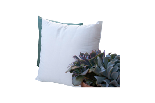 A Wool and Organic Cotton Throw Pillow by Shepherd's Dream sits on a surface, partially revealing a green EcoWool pillow behind it. In the foreground, a potted succulent with fleshy, overlapping leaves enhances the tranquil scene with greenery.